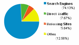 Pie chart showing the traffic share of campaign visits to the site
